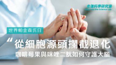 世界帕金森氏日｜從細胞源頭攔截退化：咖啡莓果與咪唑二肽如何守護大腦