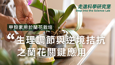 甲殼素於蘭花栽培中於生理調節與逆境拮抗之關鍵應用